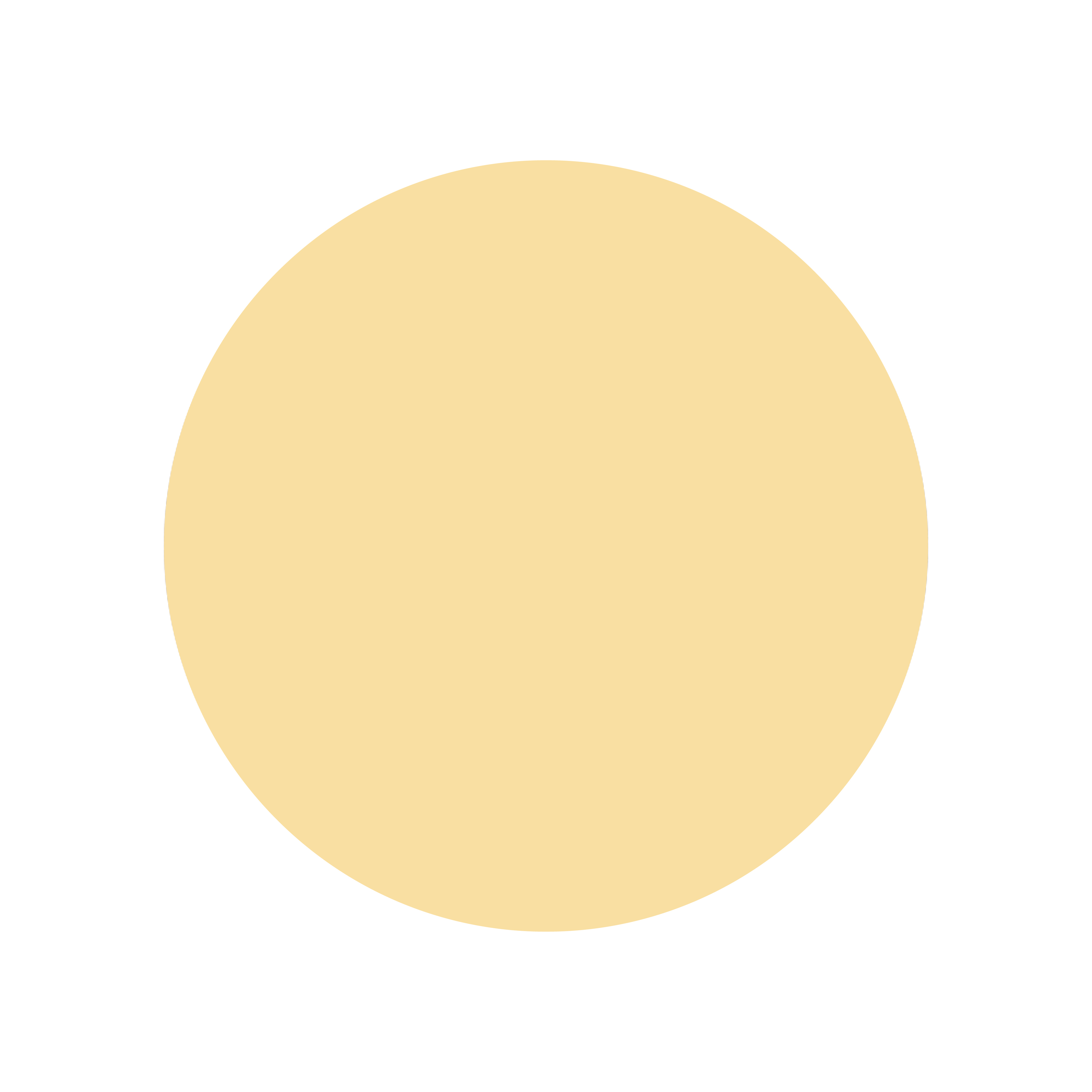 7302 Fichte / Kiefer Varianten Bild