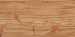 Handmuster OSMO  Sichtschutz JUEL A Lärche Natur
